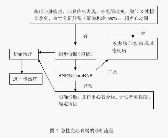 急性左心衰竭的诊断流程