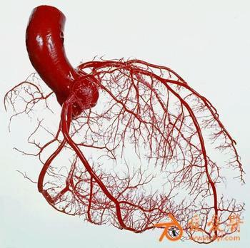 j am coll cardiol:冠脉搭桥术后二级预防不足