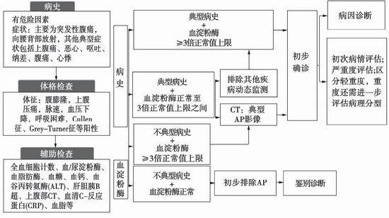 中国急诊急性胰腺炎临床实践指南发布