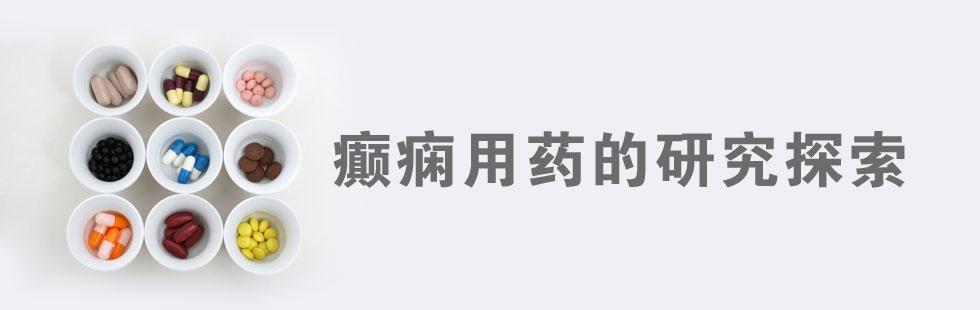 2013年：癫痫用药的研究探索