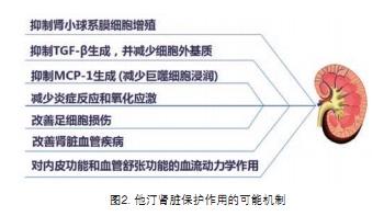 肾内科医学进展 普伐他汀在ckd患者调脂治疗中的重要性 他汀