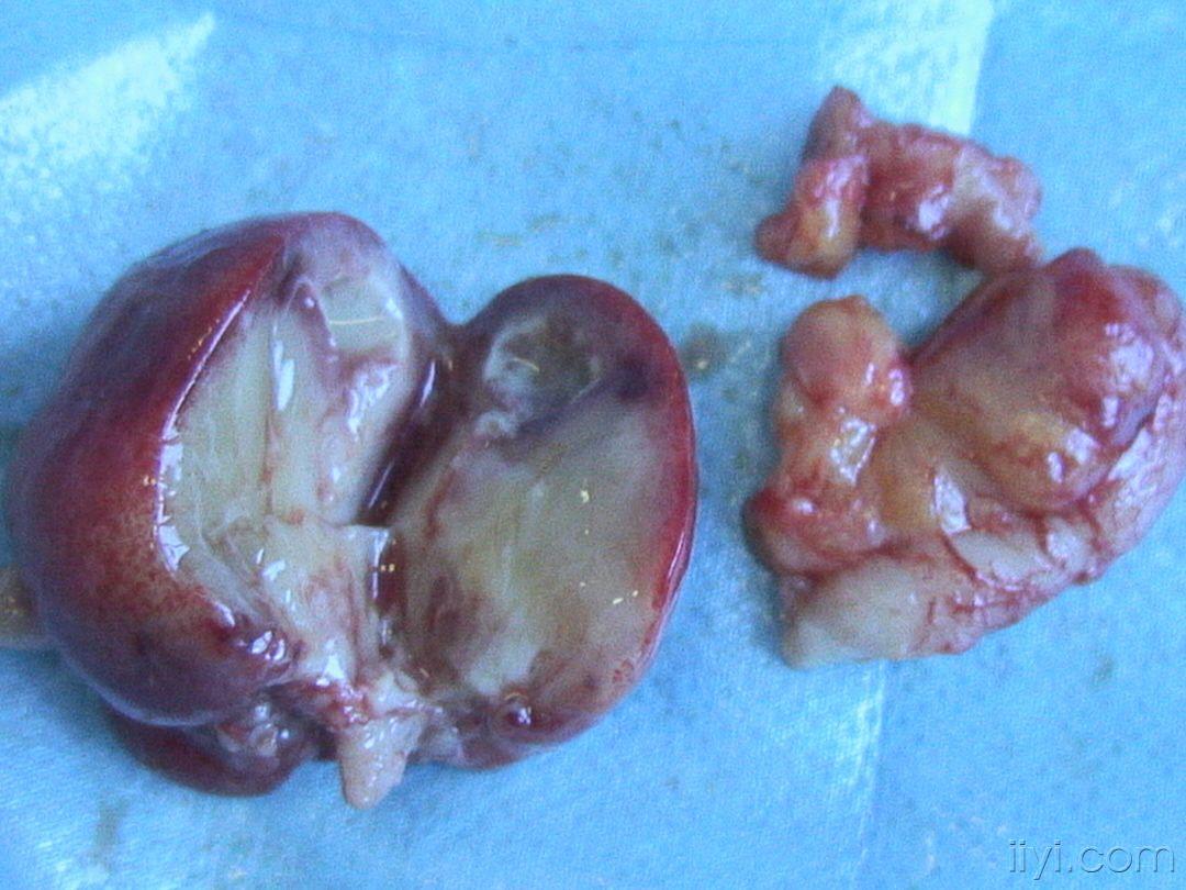 z1298525140dmvnu1qu.jpg