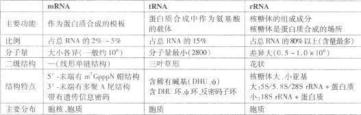 其种类繁多,分子较小,一般以单链存在,可有局部二级结构,各类rna在