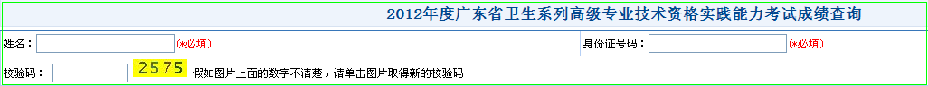 广东省高级卫生资格实践能力考试成绩查询