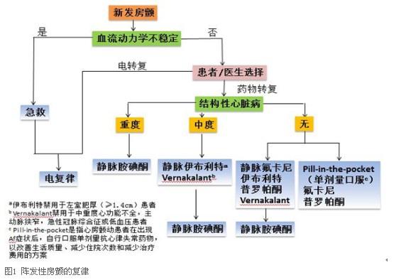 房颤快速复律的新星-Vernakalant