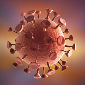 pax5儿童白血病的突变基因