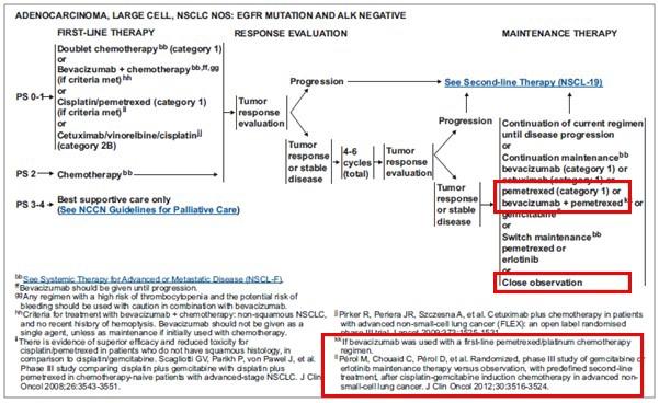 NCCN2013V2非小细胞肺癌诊疗指南要点更新解读