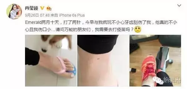 可以咬的被子是什么意思 z1474972848dke81.png