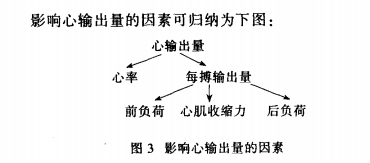 心输出量受哪些因素影响