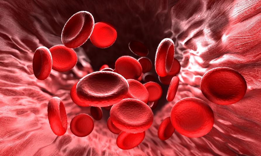 如何从血常规中判断贫血的类型及原因？