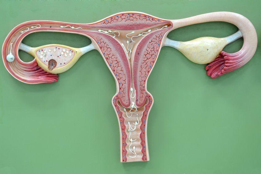腹腔镜对子宫内膜异位症患者的诊断治疗体会